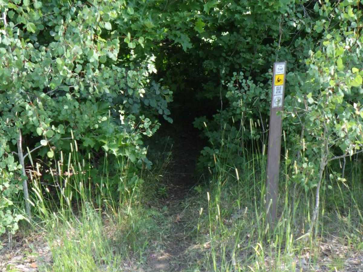 Foreman Lake Motorcycle Trail photo 6