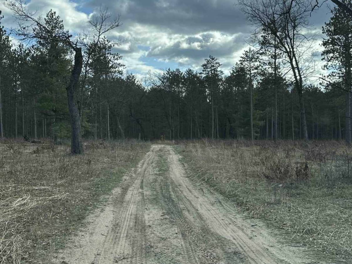 FS 4424 trail photo