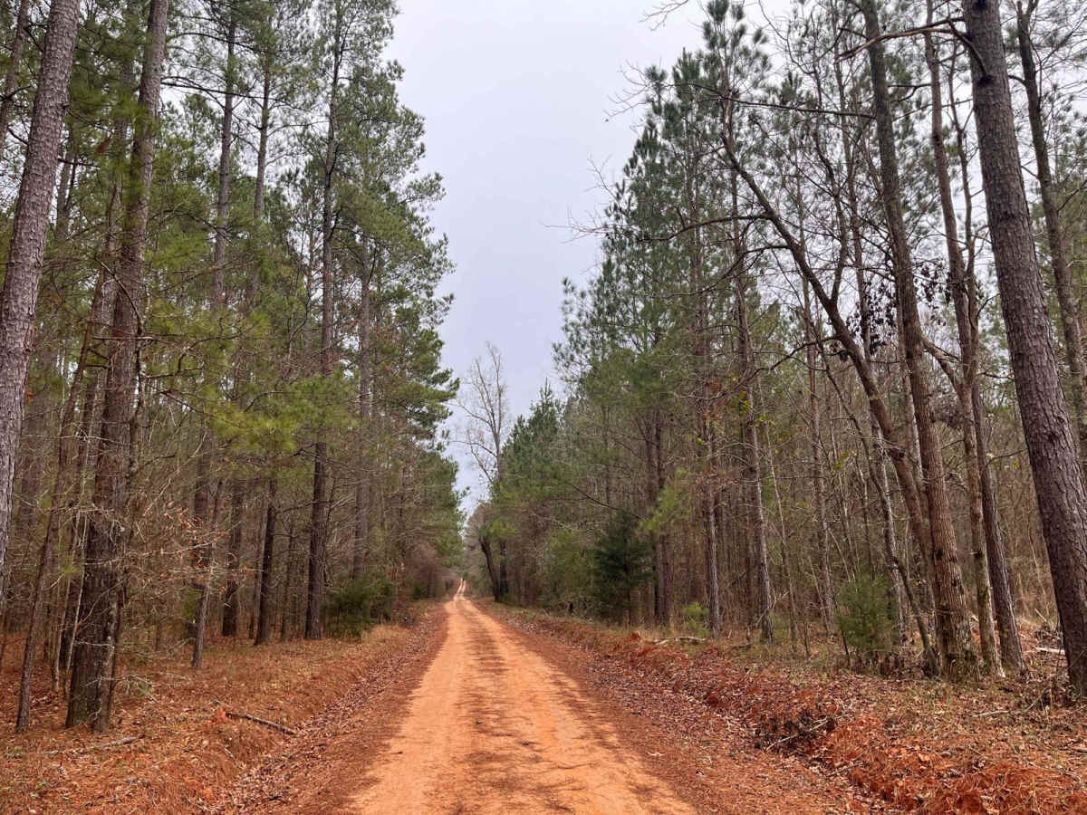 Rugged Hill Drive trail photo