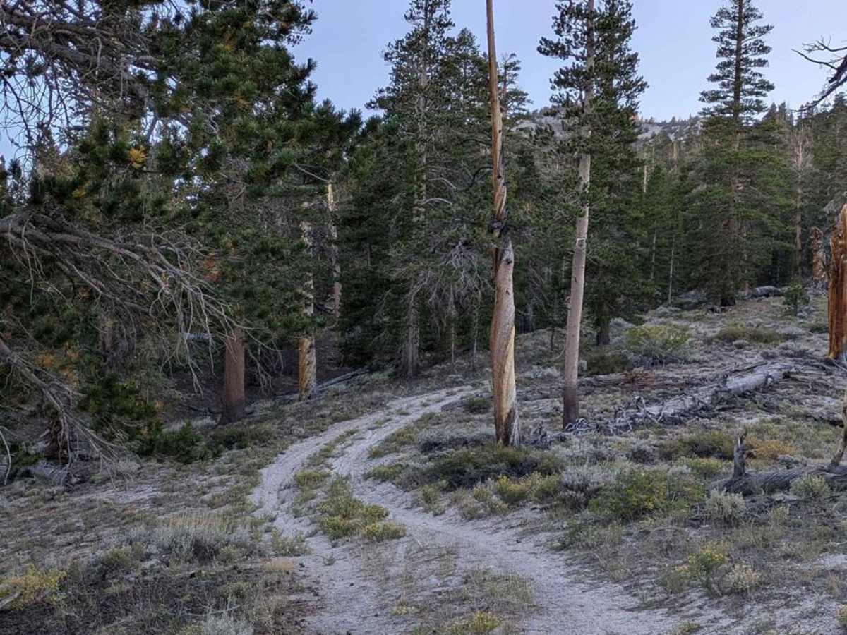 Sawmill Meadows Side Trail photo 6