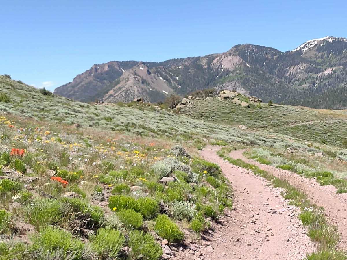 Piute Reservoir Overlook (FS# 41081) photo 5