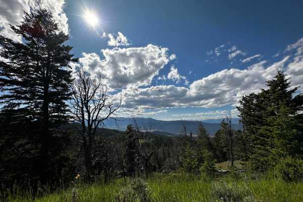 Carter Mountain Access
