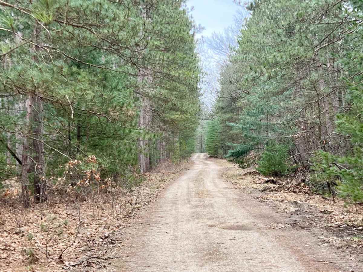 NFS 9222 (Newaygo Experimental Forest) photo 3
