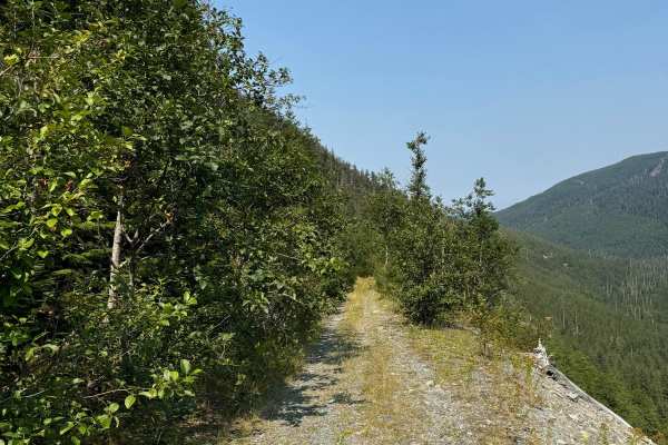 Bare Mountain Road