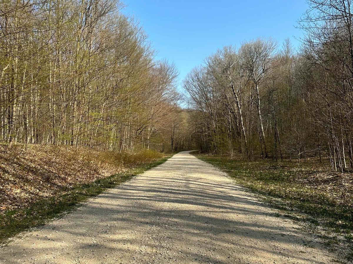 Cadillac Area ORV/OHV Scenic Ride - Part 8 photo 2