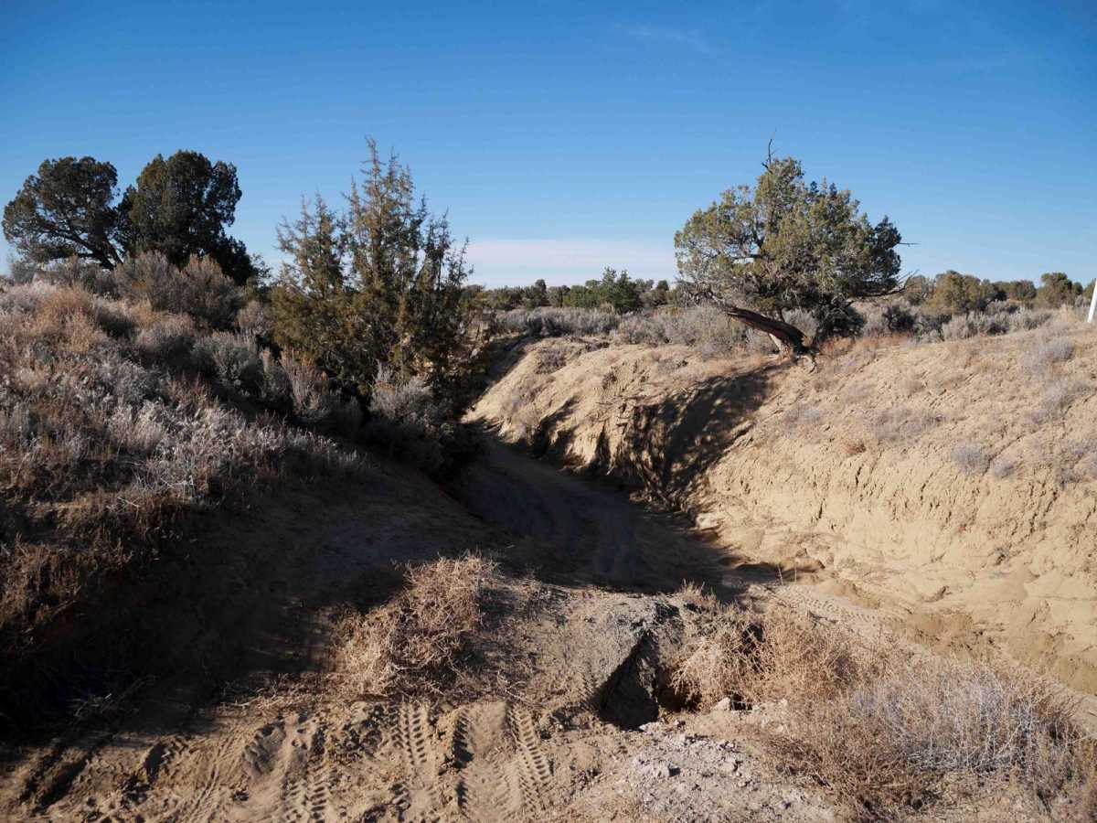 Casanova Mount Wash trail photo