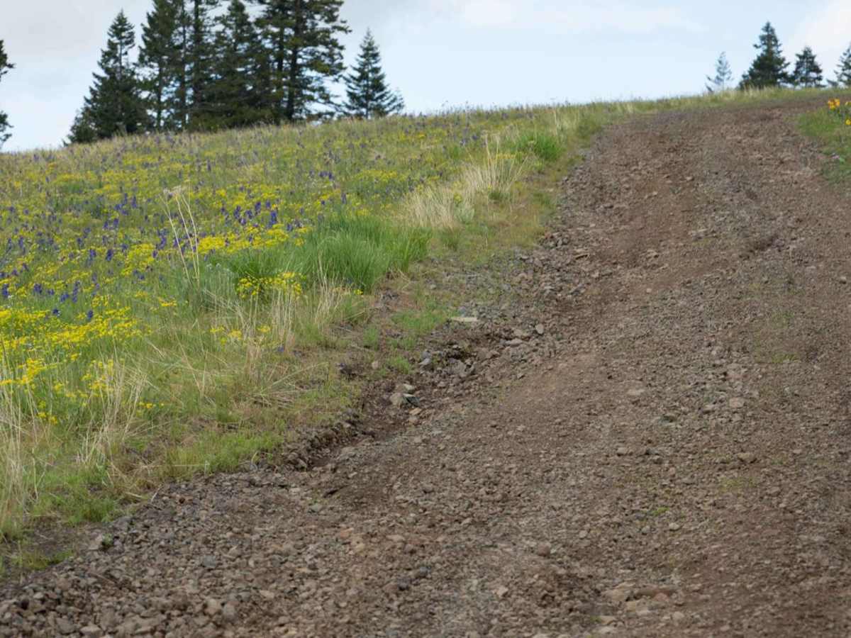 Big Butte Lookout photo 3