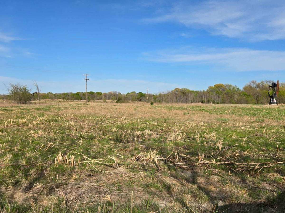 Sandy Point Road photo 6