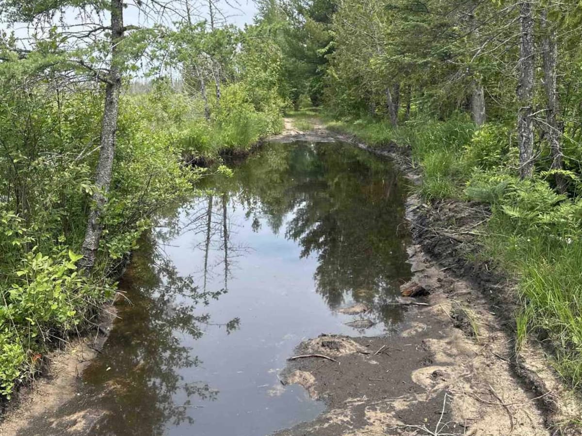 Dells Mills photo 4