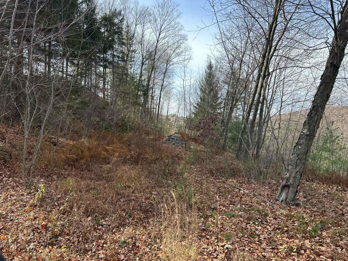 Ashland 165 photo 3