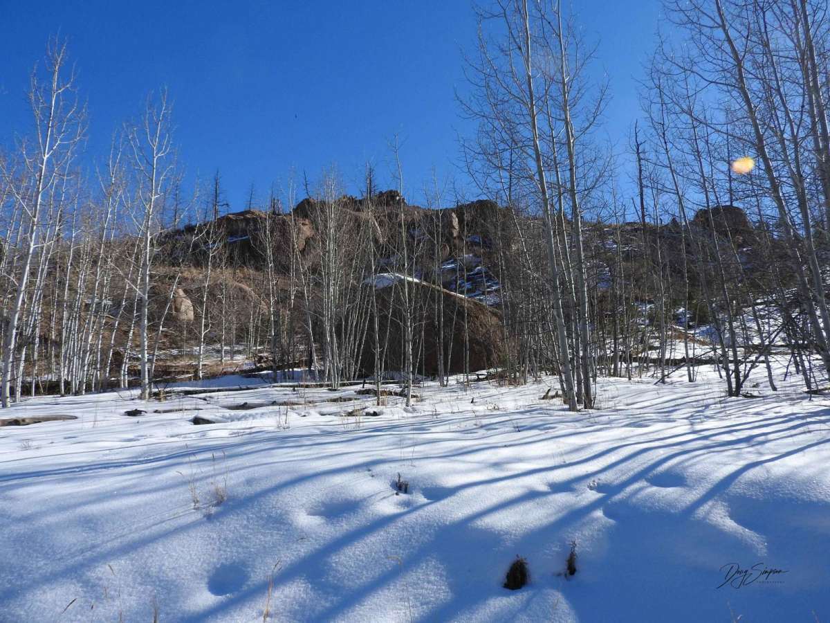 Trail Creek Road photo 3