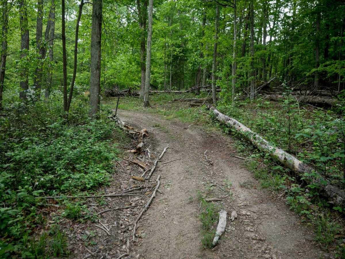 Trail 8 photo 2