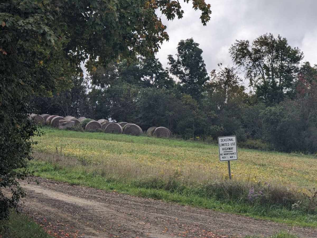 Mills and Platt Hill Road trail photo