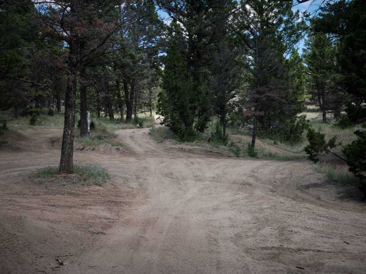 BLM 8 photo 5