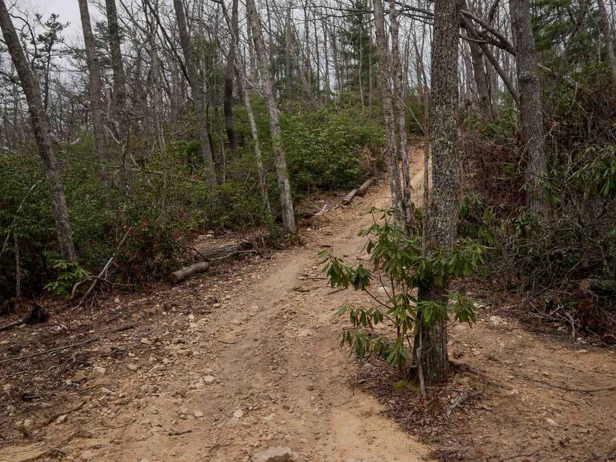 20B trail photo
