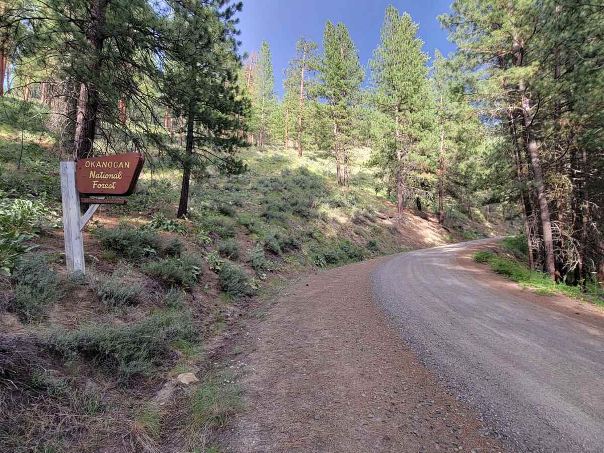 NF 4410 - Thompson Road photo 3