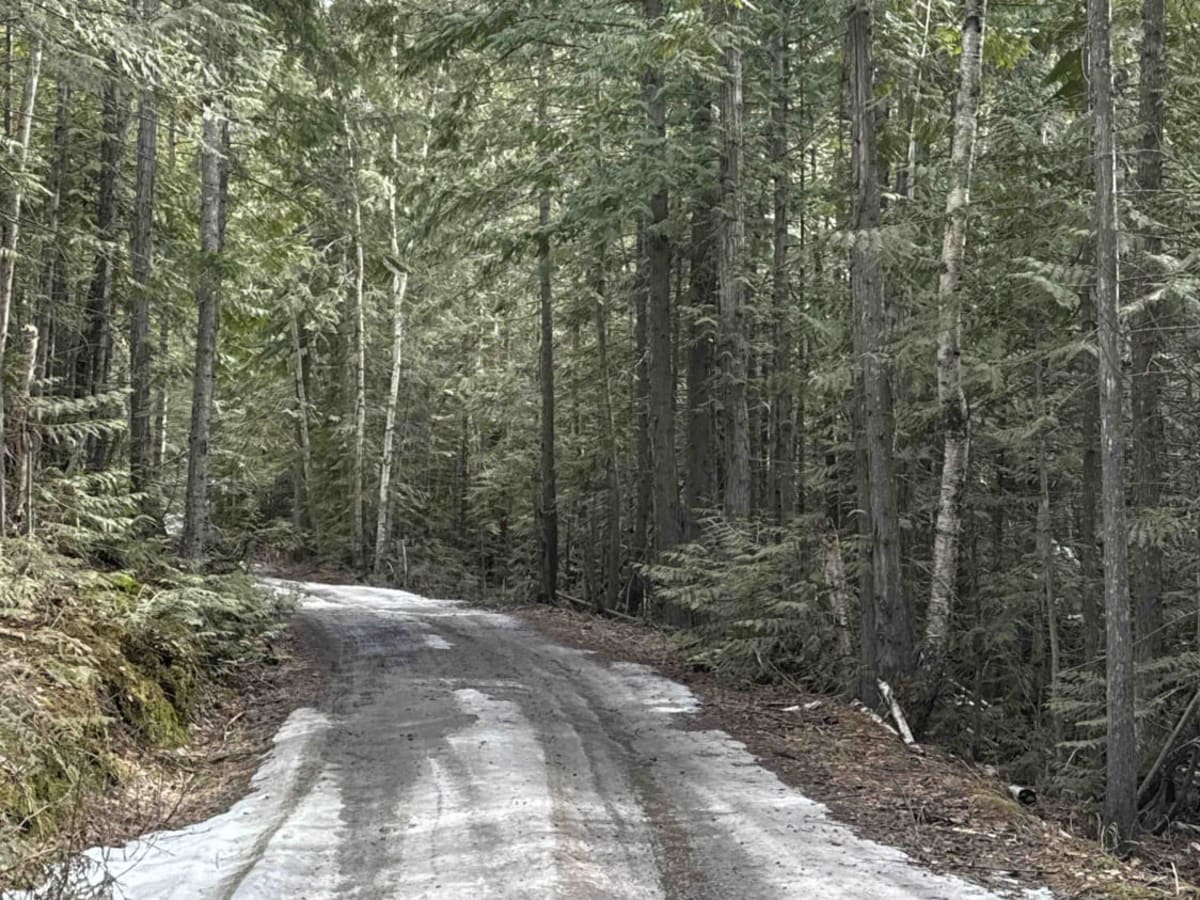 Spanish Lake via Silvernails Road photo 5