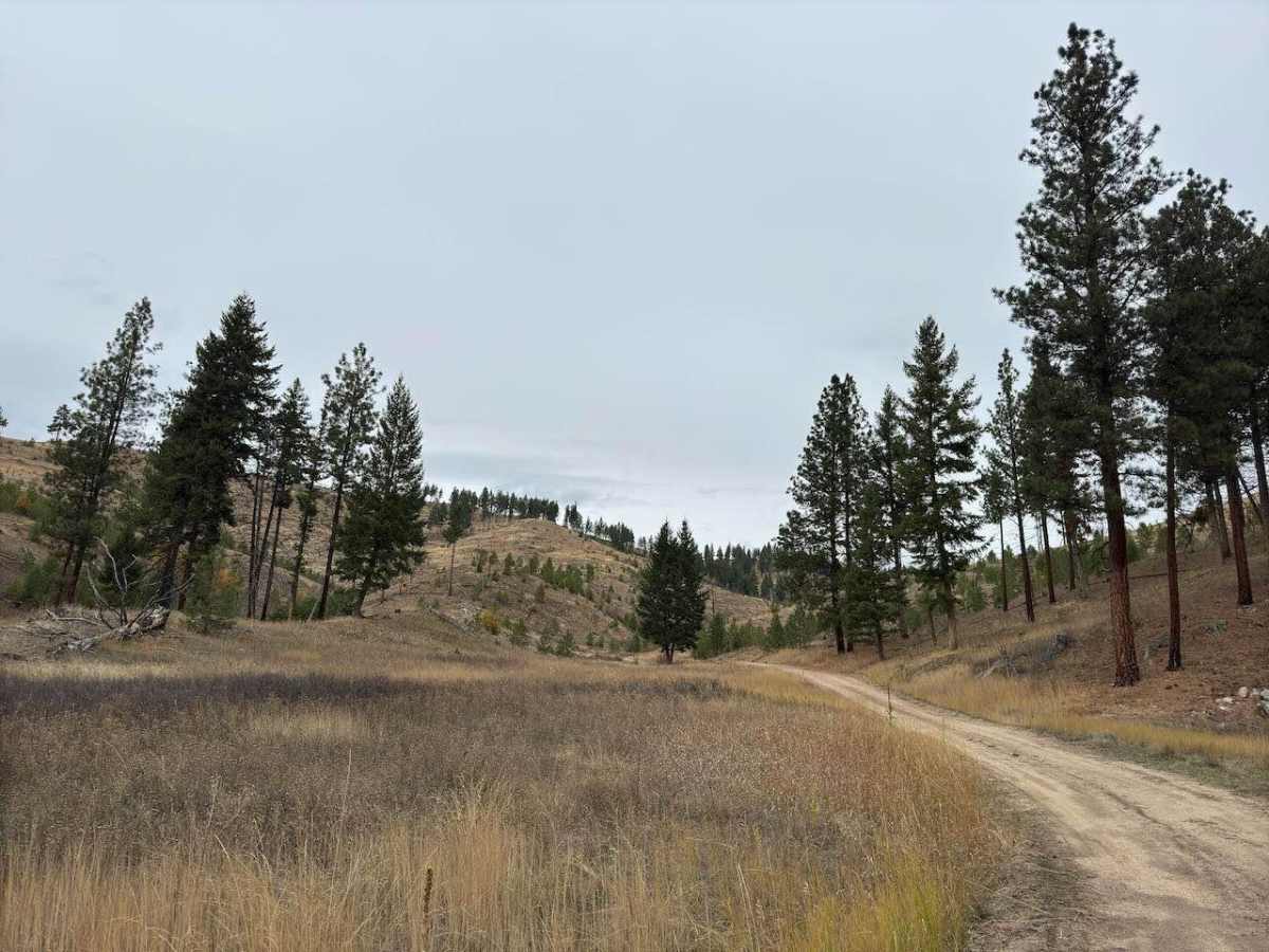 Robins Gulch photo 4