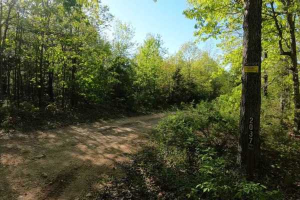 Crane Mountain Ridge FSR 2037