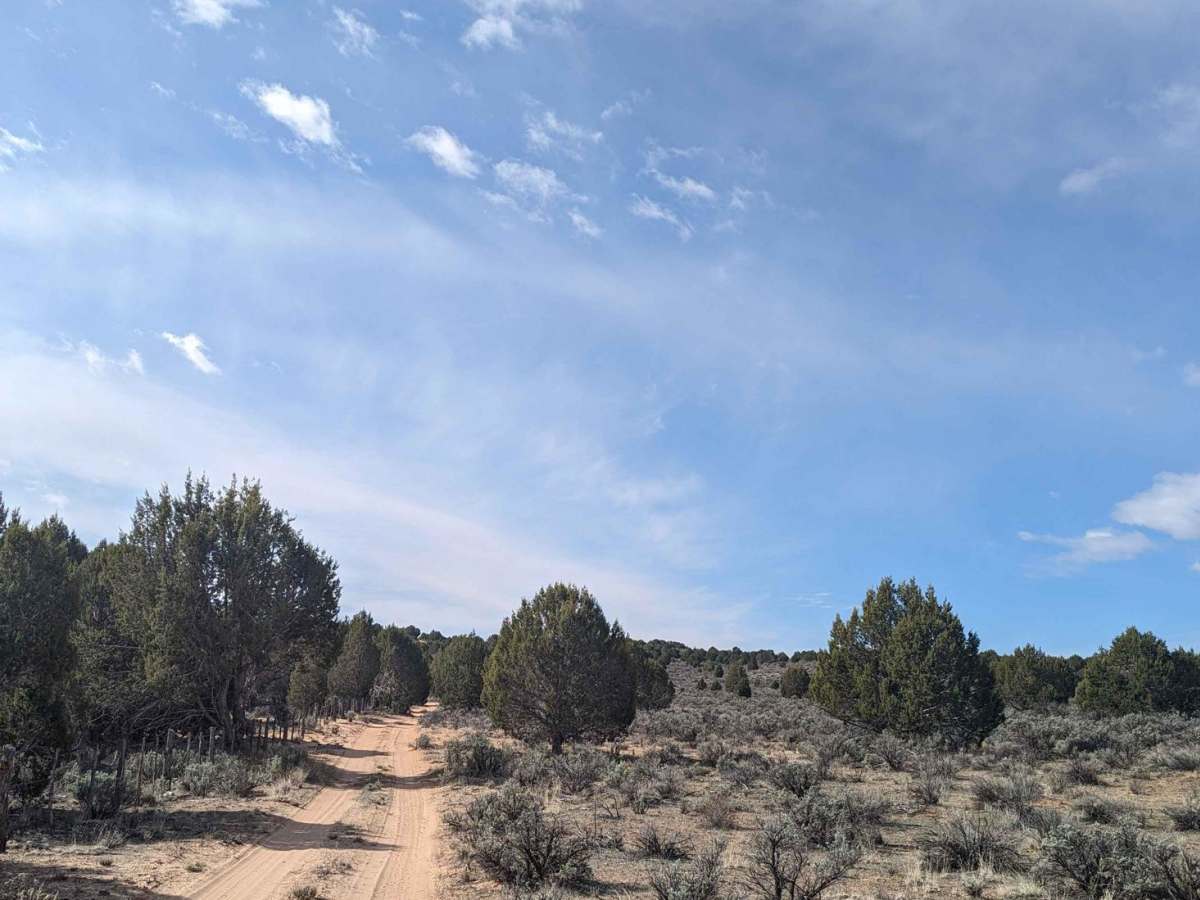 Nephi Pasture Road Offshoot photo 5