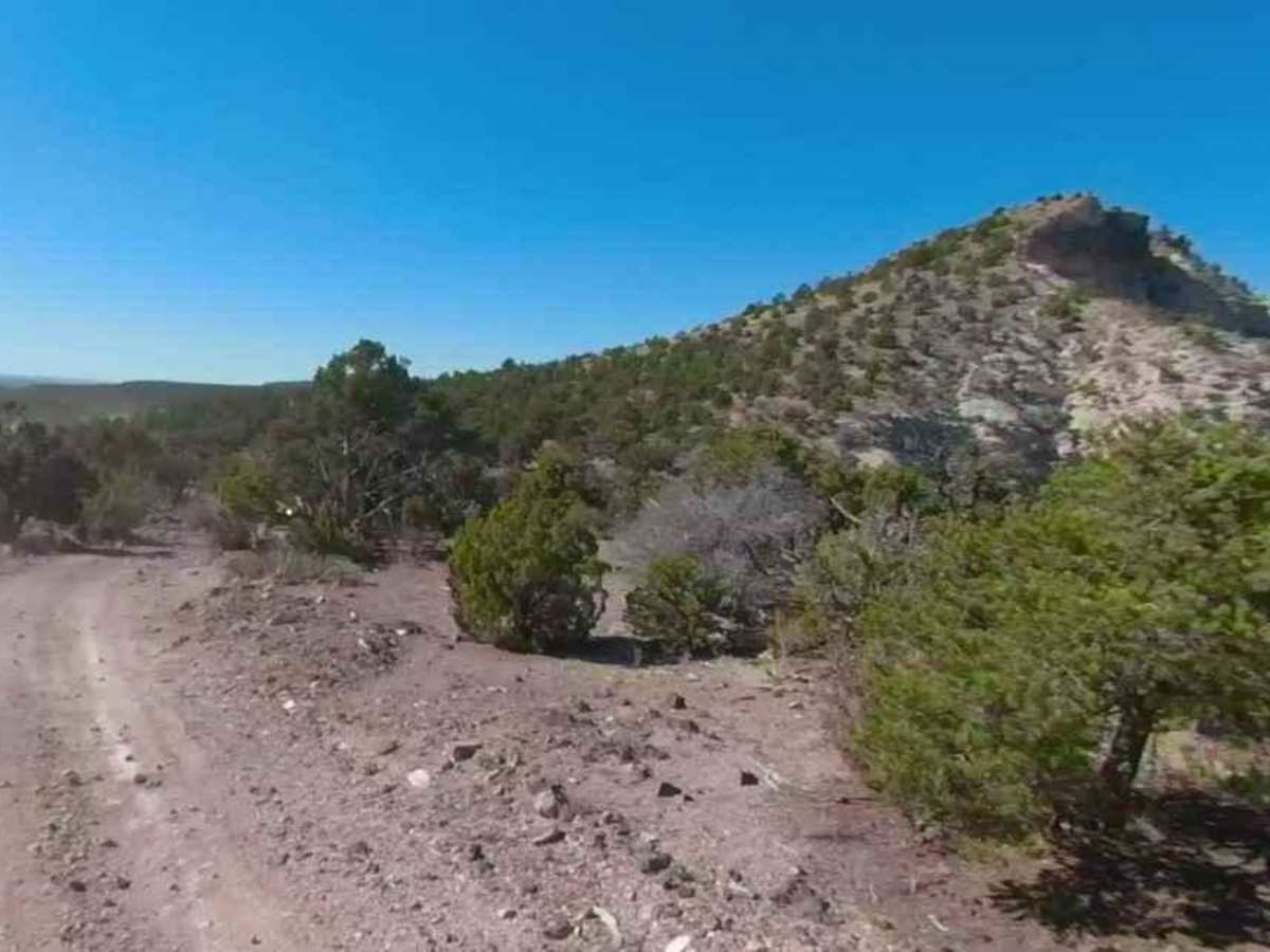 Seegmiller Mountain Road BLM 1020 trail photo