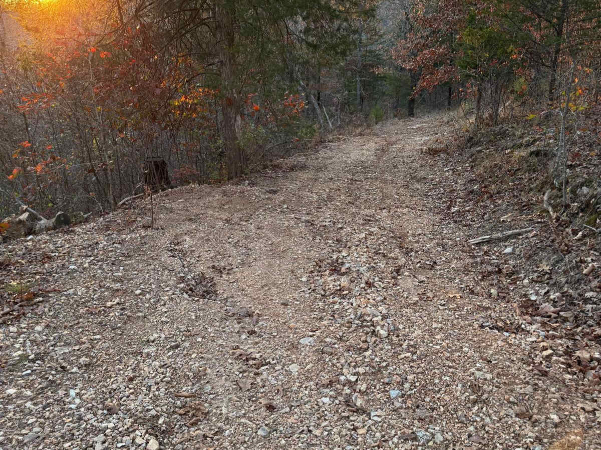 Green 182 trail photo