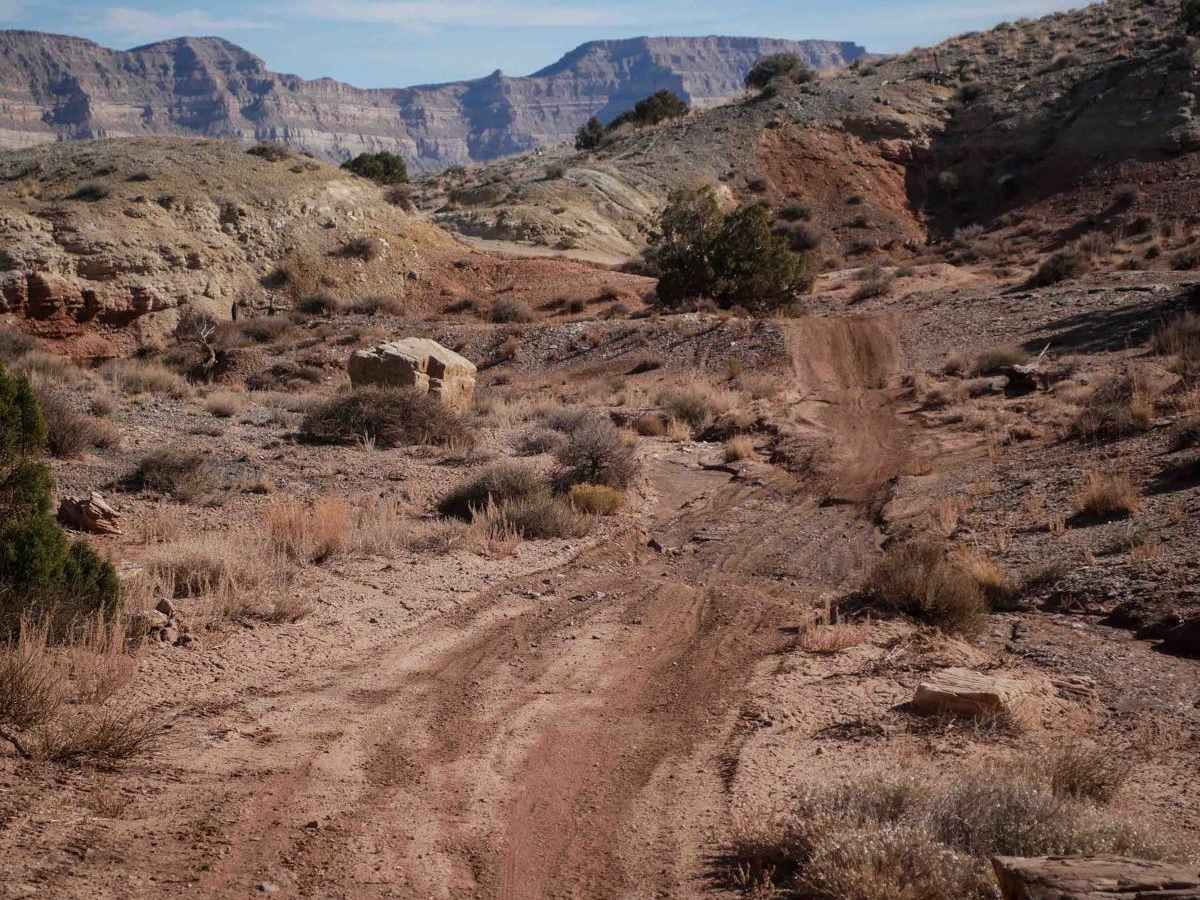 Odds West Access Trail trail photo
