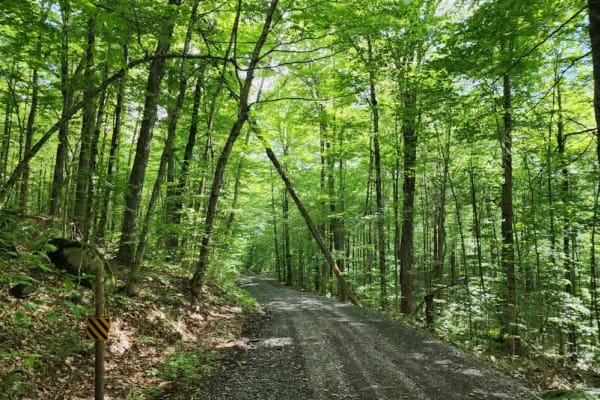 Stony Lake Road