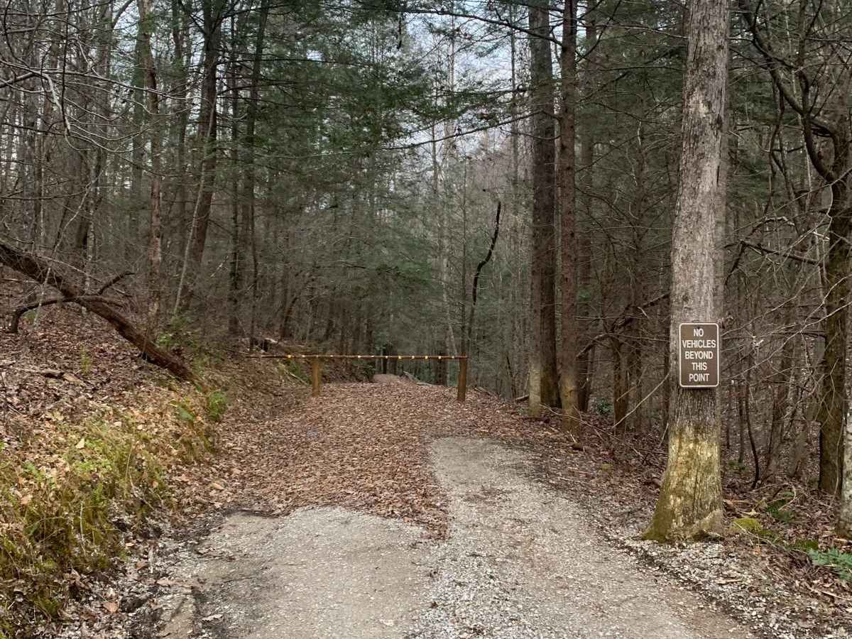 Bandy Creek Trek photo 4