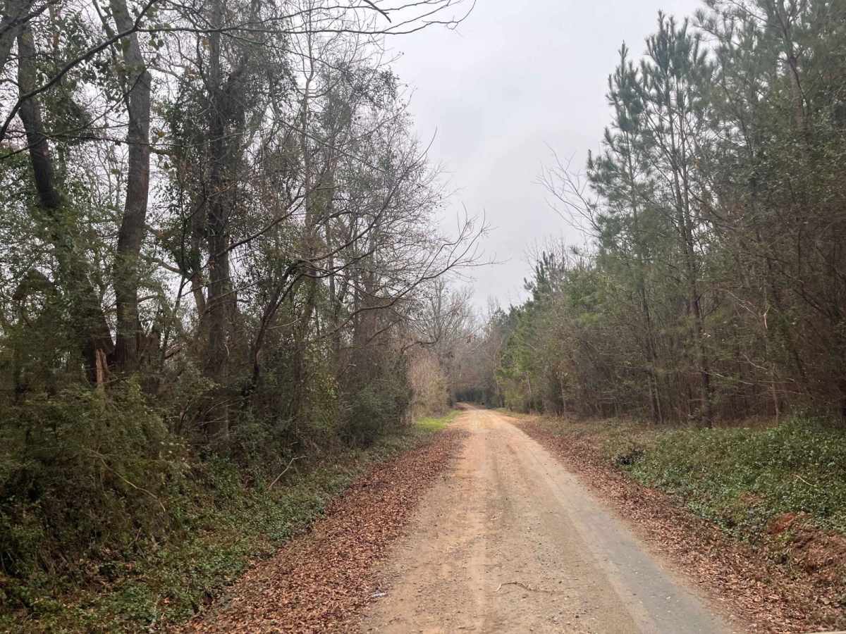 Old Charleston Road photo 4