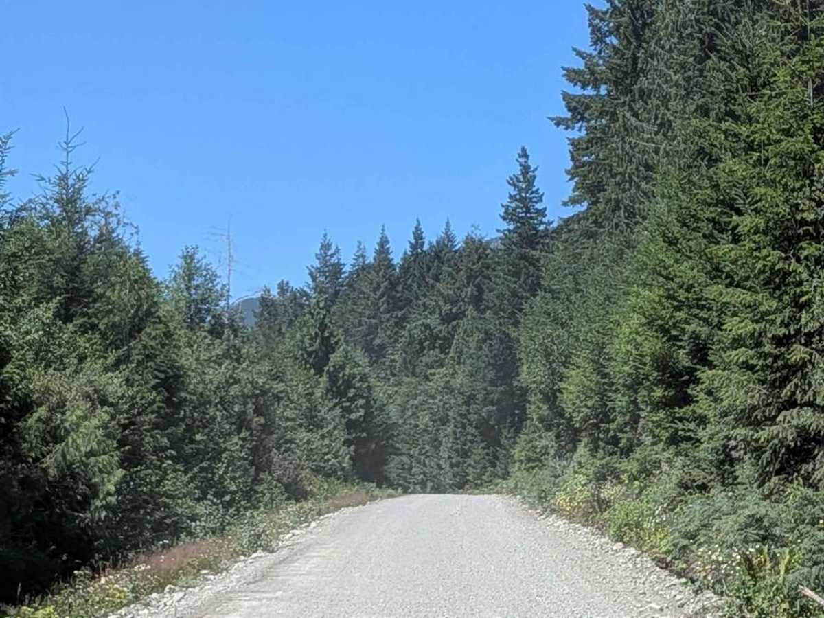West Woss Road photo 6