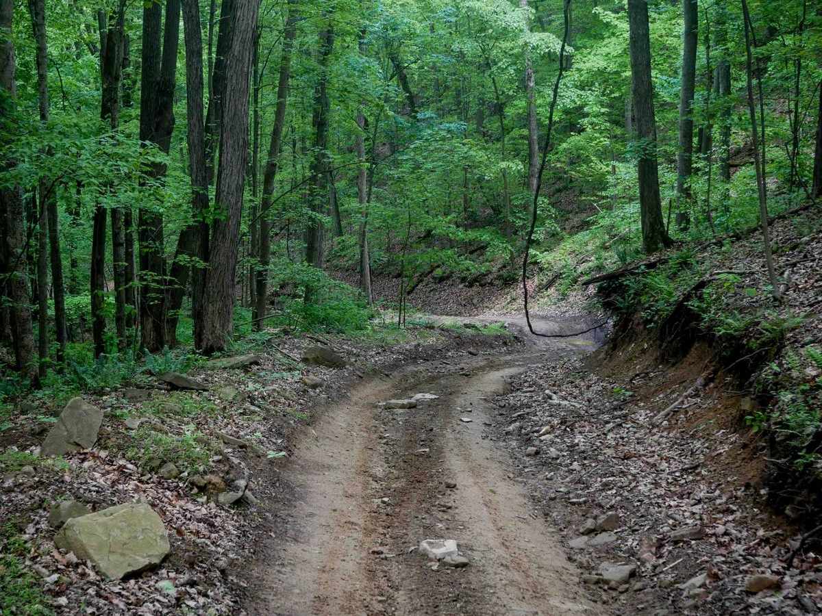 Trail 16 trail photo