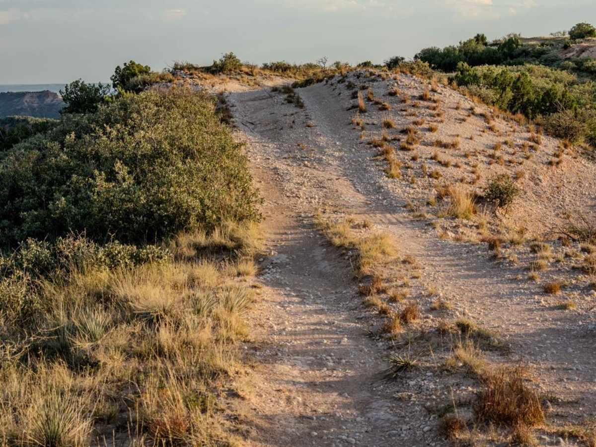 Cable Point Trail photo 6