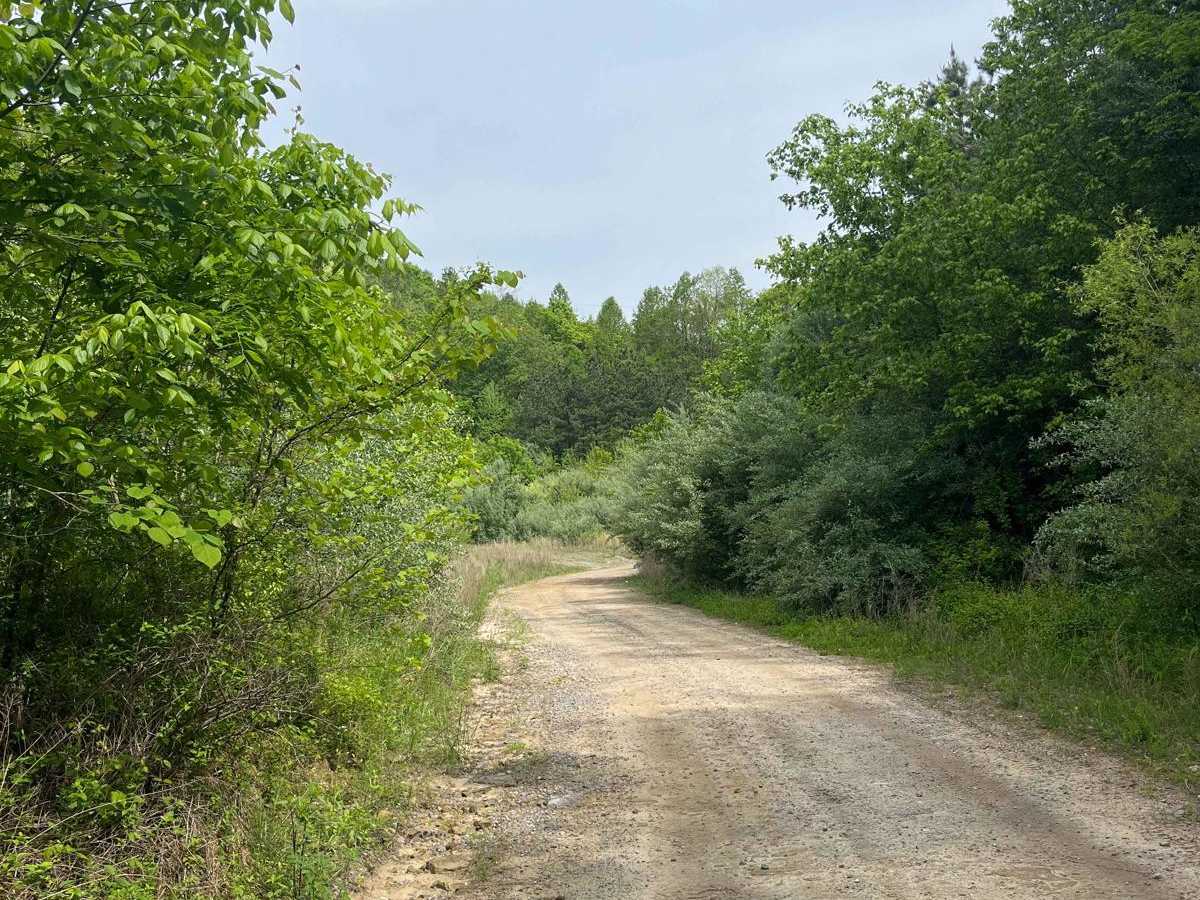 Trail 11 photo 3