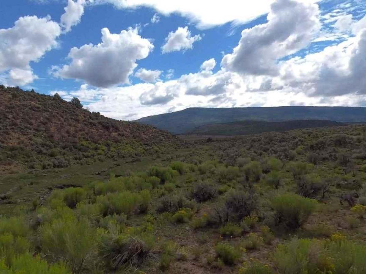 Little Lost Creek South- FS 40052 photo 5
