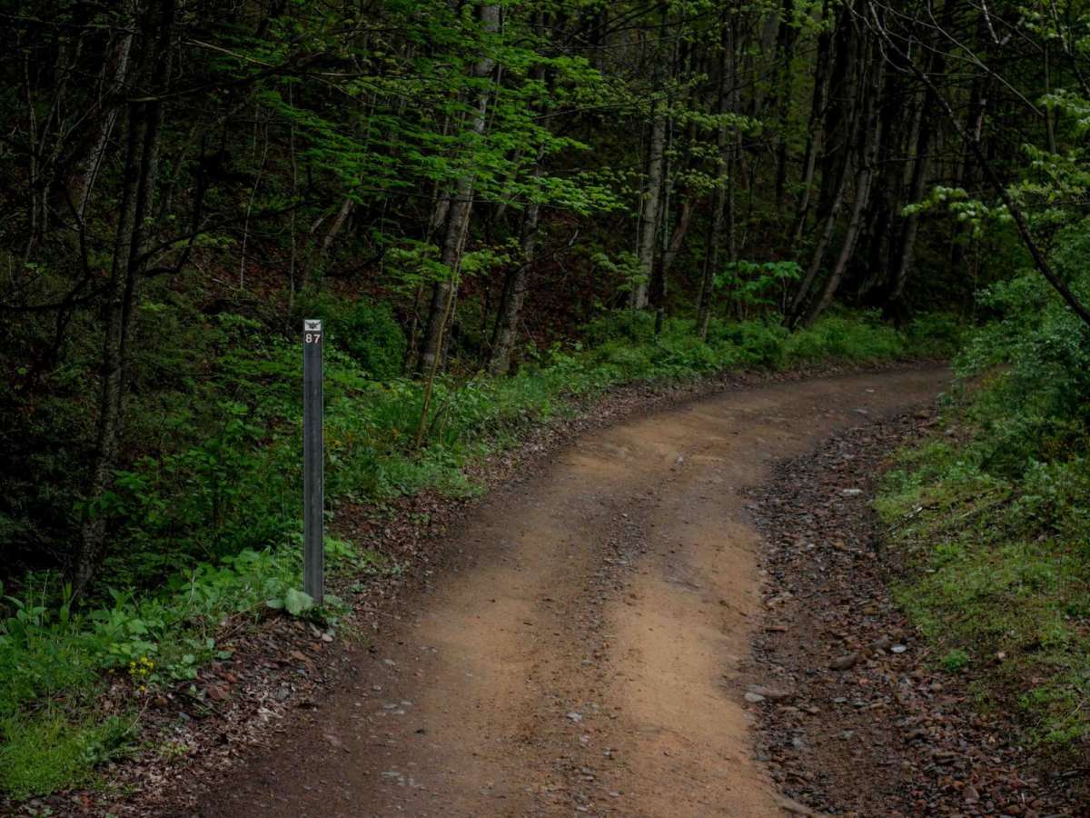 IR 87 trail photo