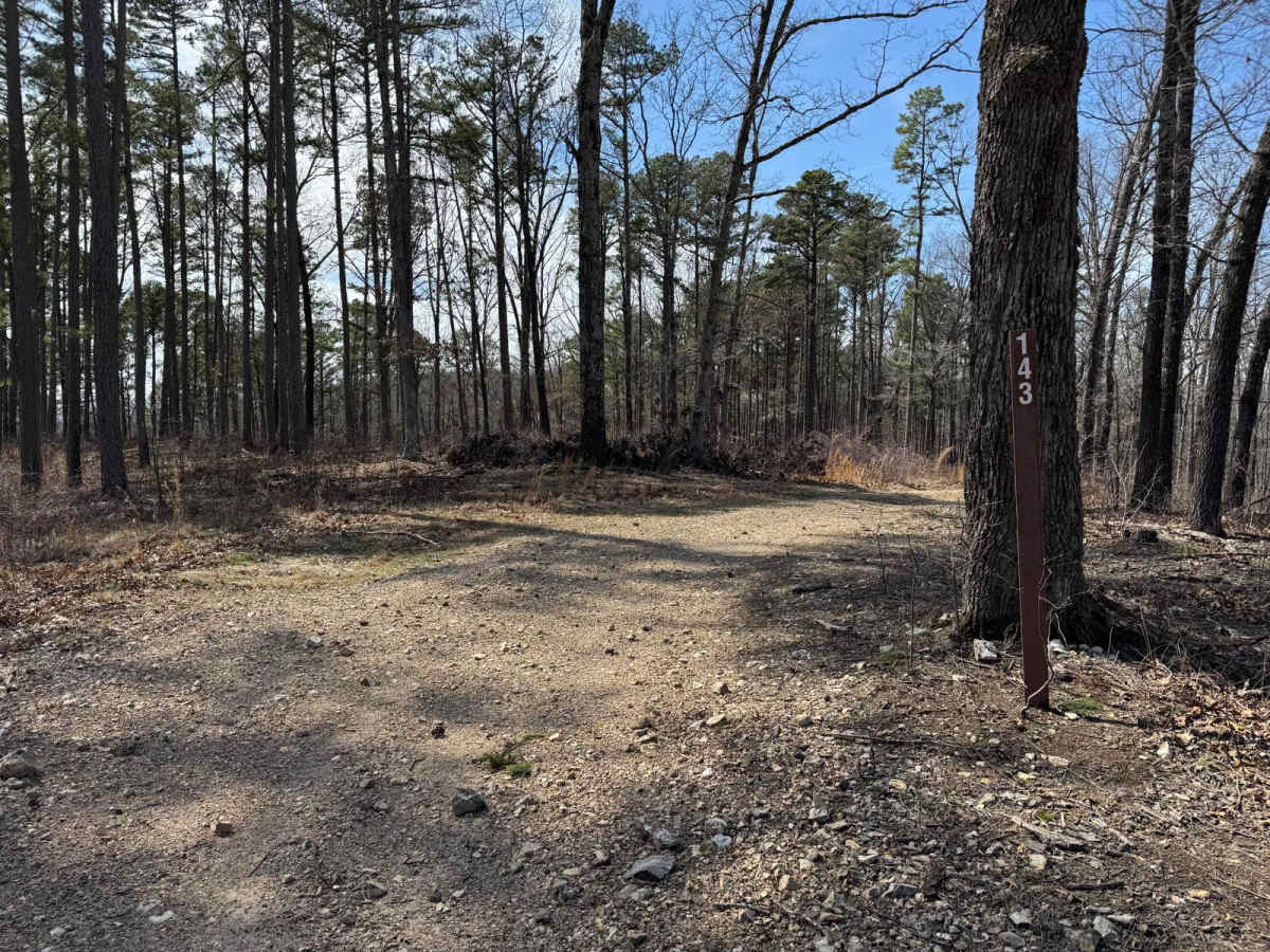 Prieskon Hollow - FSR 143 trail photo