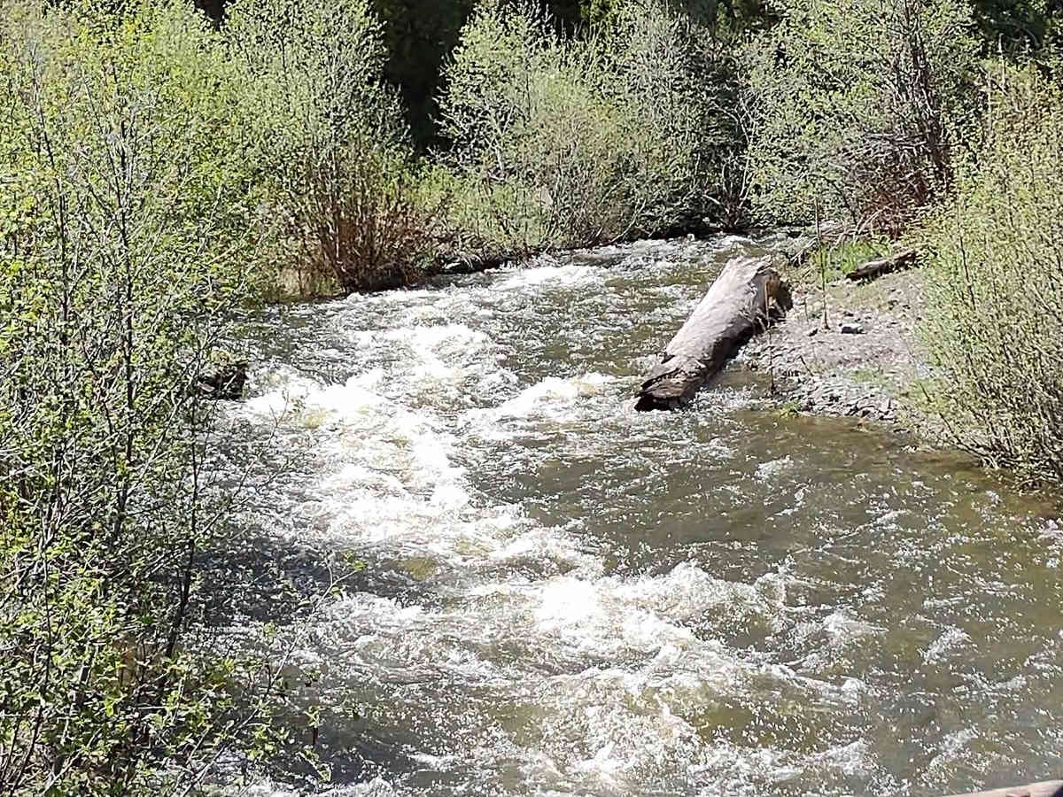 Badger Creek photo 5