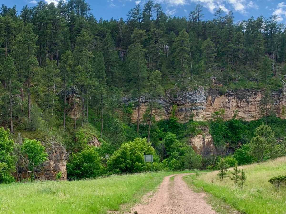 Song Dog Road trail photo
