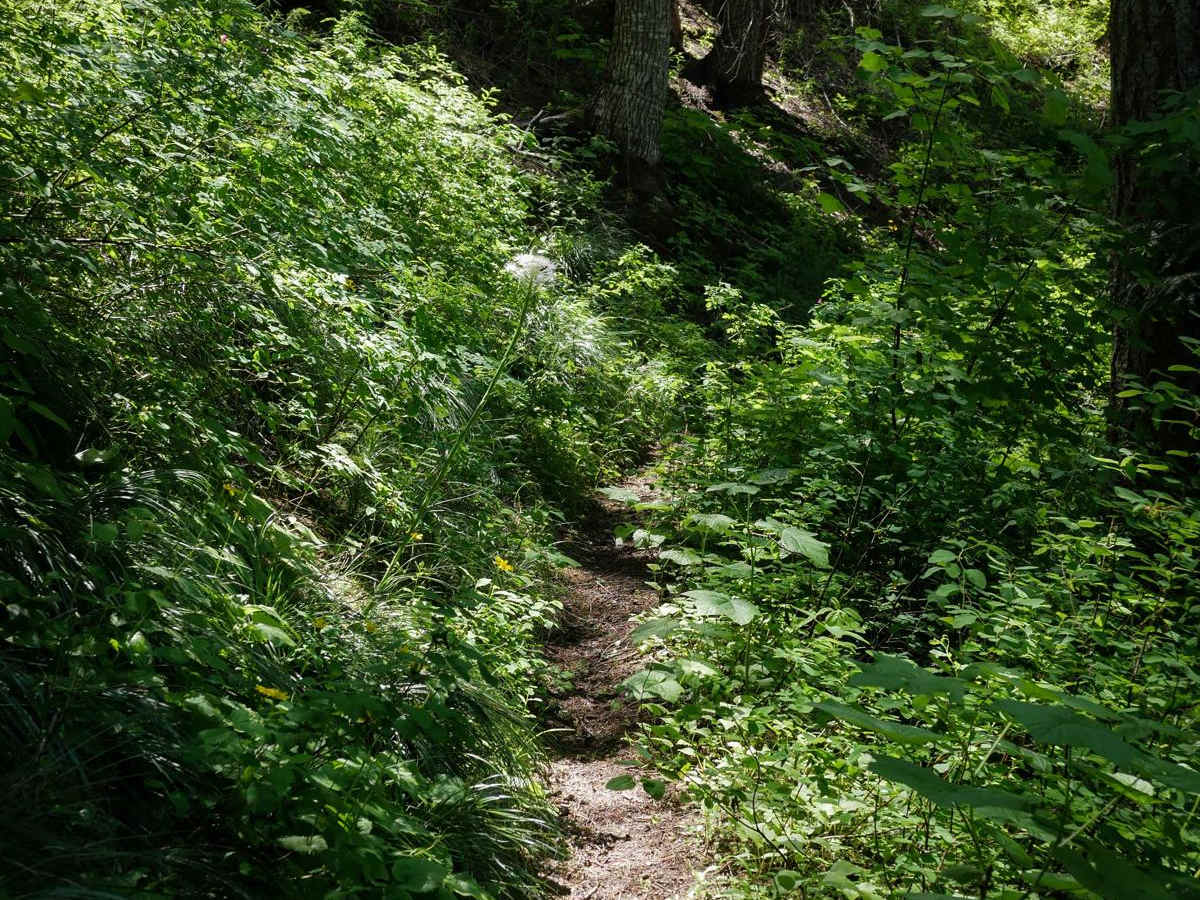 Junction Mountain photo 5