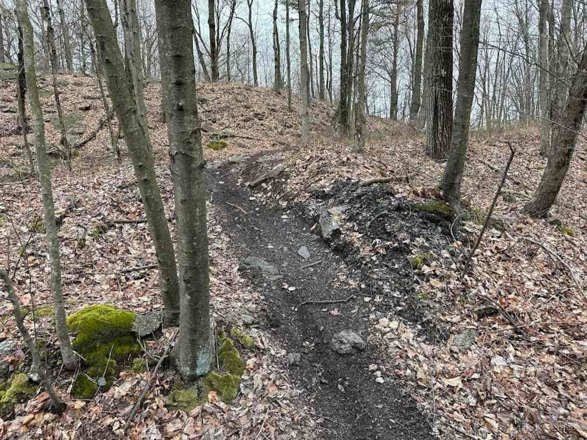 Burma Single Track 22 trail photo