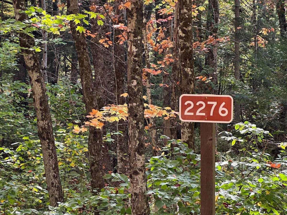 FS 2276 Part 1 trail photo