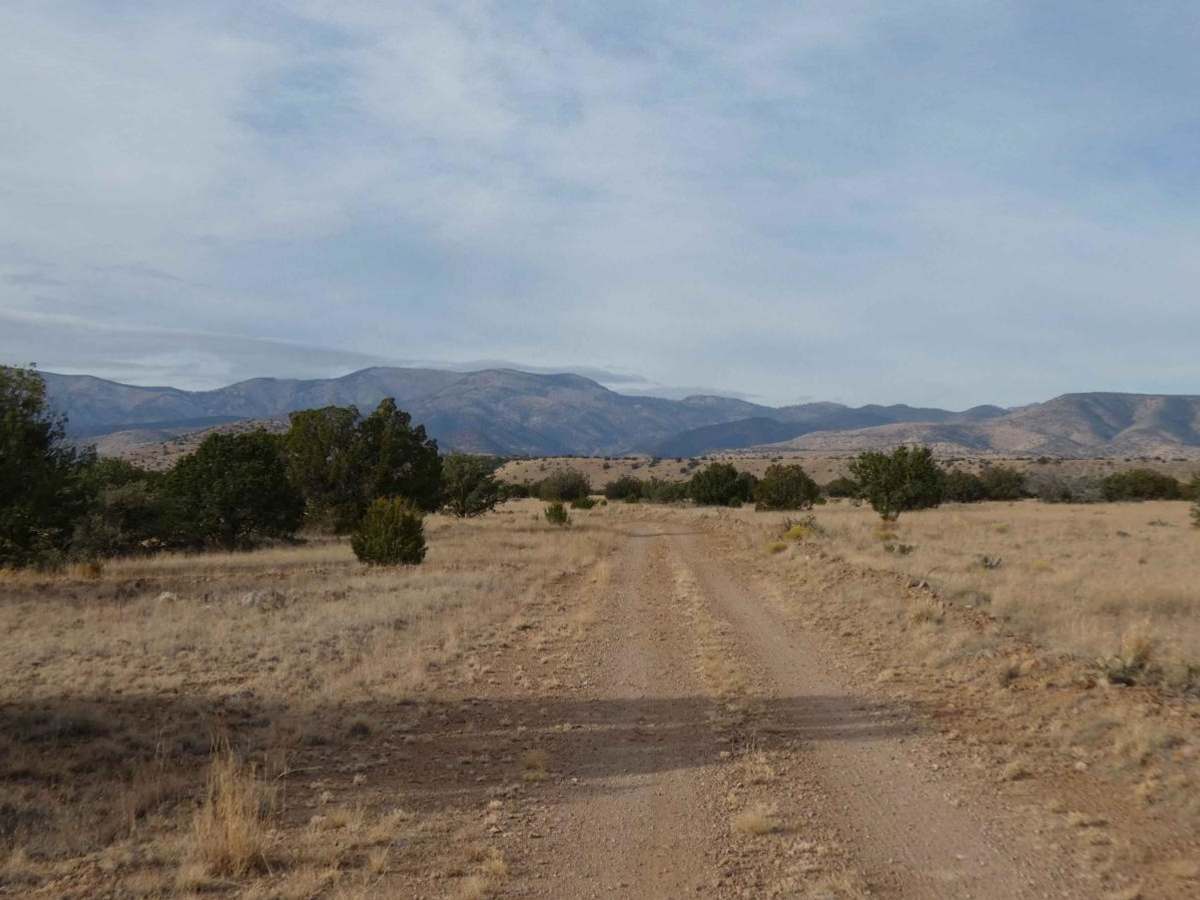 Old Spanish Trail photo 5