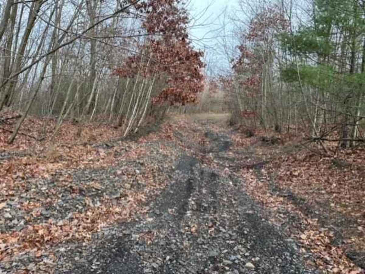Darkwater 35 trail photo