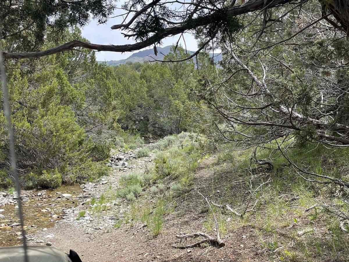 Sonoma Creek Trail photo 2