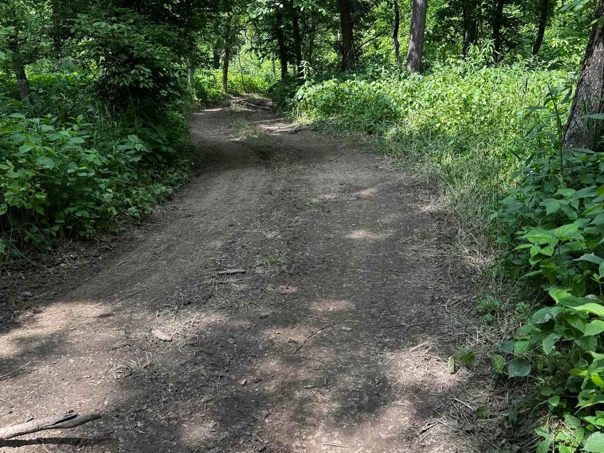 Green 78 trail photo