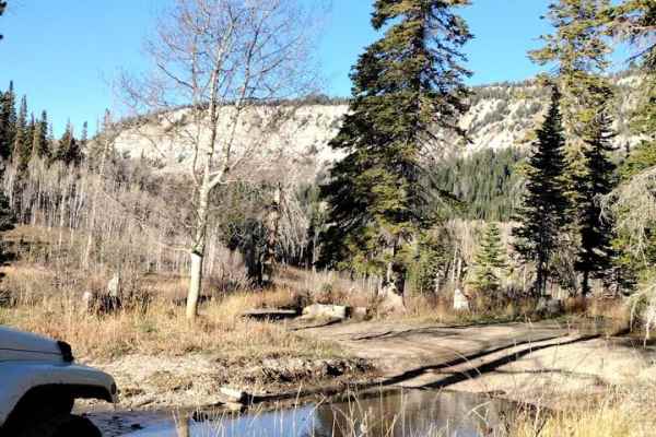 FS 51198 Upper 6 Mile Pond Loop