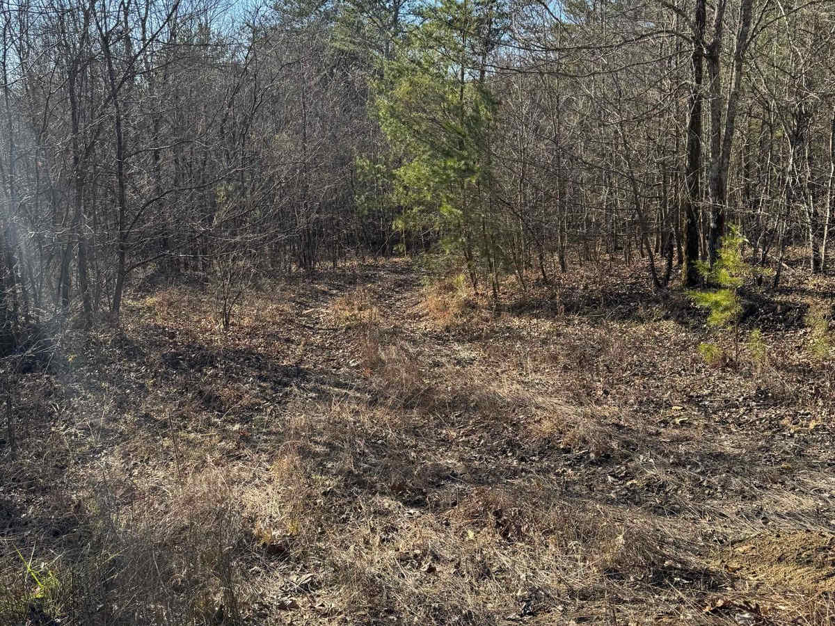 #59 BeltLine photo 5