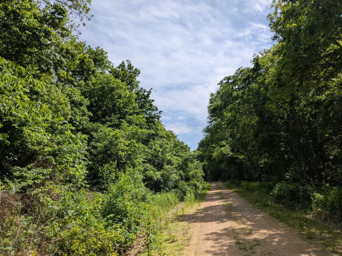 D4555 trail photo