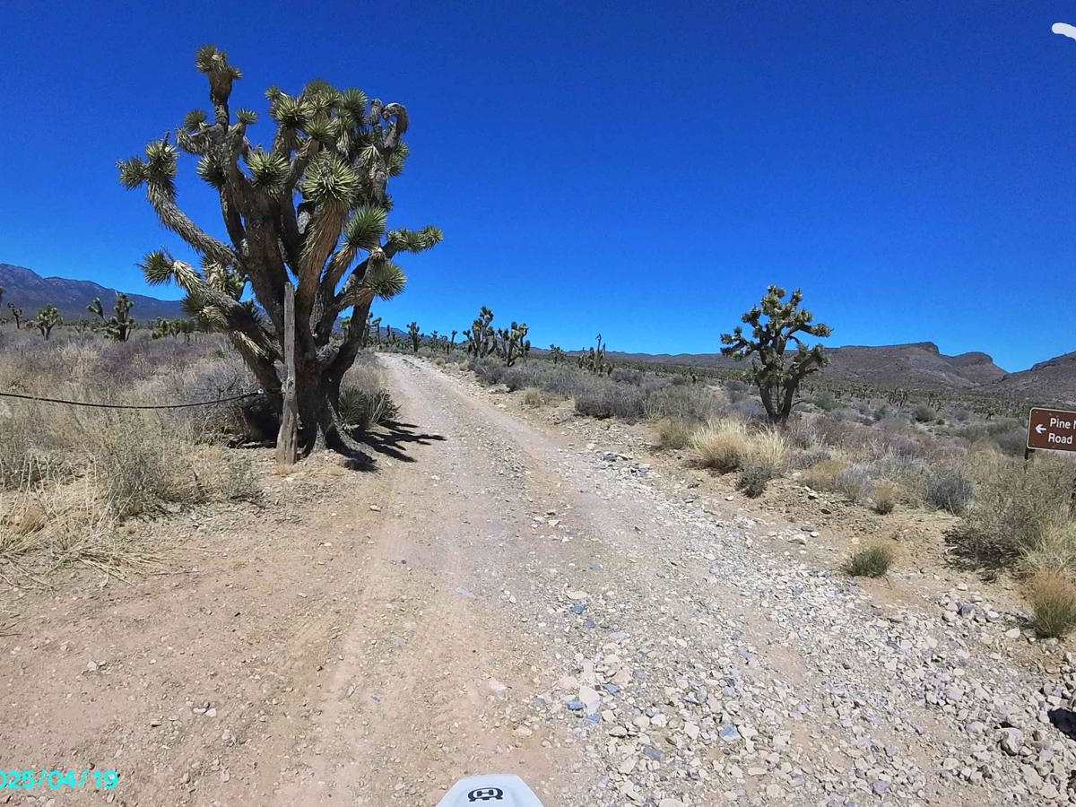 Pine Nut Road trail photo